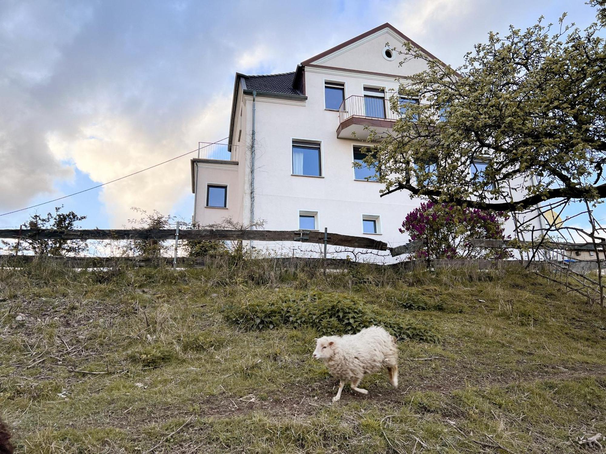 Villa Ueberblick Nalbach Exterior photo